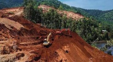 CORAKINDO Tantang Aparat: Jangan Tutup Mata, Usut Tuntas Perusak Hutan Lindung Kabaena